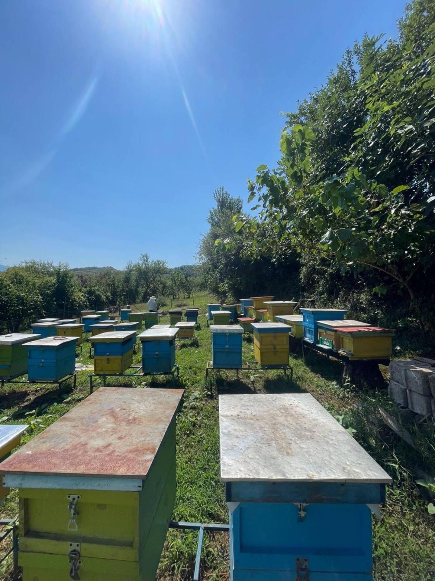 Nia'S Farm Hotel Librazhet Екстериор снимка