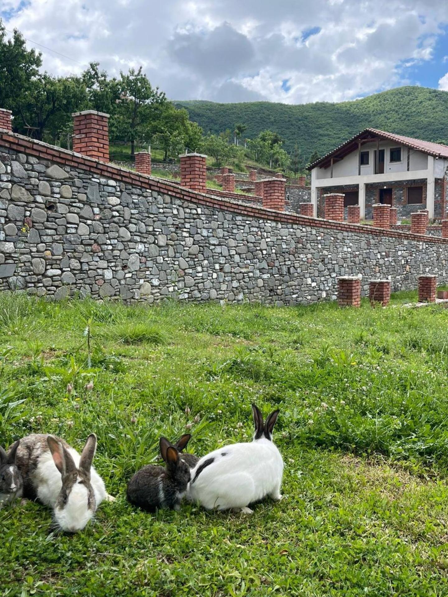 Nia'S Farm Hotel Librazhet Екстериор снимка