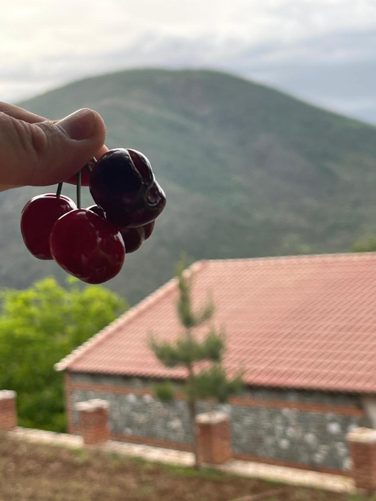Nia'S Farm Hotel Librazhet Екстериор снимка